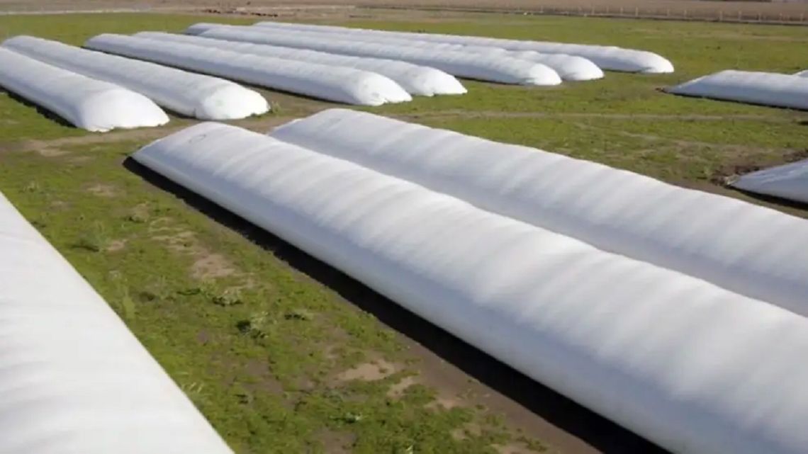 Agro: "Si los precios de los commodities aumentan, podría reducirse la carga impositiva sin afectar la recaudación"