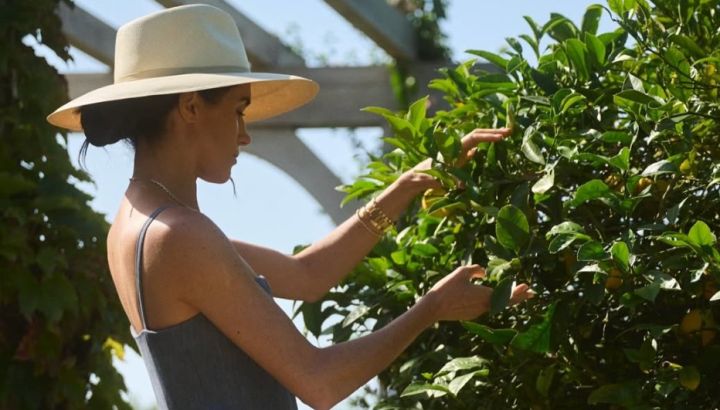 Meghan Markle: vendiendo polvo de flores y miel ya generan un impacto de 10 millones de dólares