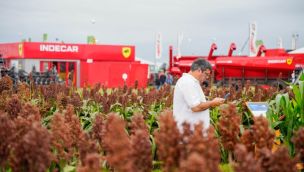 16-03-25agro1