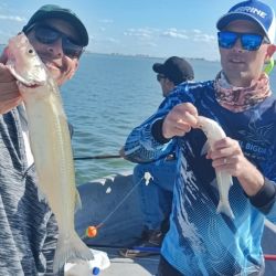 El pejerrey come firme, no juega con la carnada lo que permite irse con una buena cuota de ejemplares de buena talla y da la chance de compartir la salida con los que recién se inician, sumando que se trata de un ámbito chico con muchos reparos por todos lados si se levanta viento.