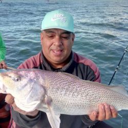 En un par de horas, la intensa actividad de pesca en Santa Teresita permite una notable captura de corvinas, apreciadas tanto por su lucha como por la exquisitez de su carne. 