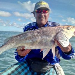 En un par de horas, la intensa actividad de pesca en Santa Teresita permite una notable captura de corvinas, apreciadas tanto por su lucha como por la exquisitez de su carne. 
