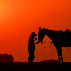 Un pastor de caballos busca turistas al atardecer en Pushkar, India. | Foto:Himanshu Sharma / AFP