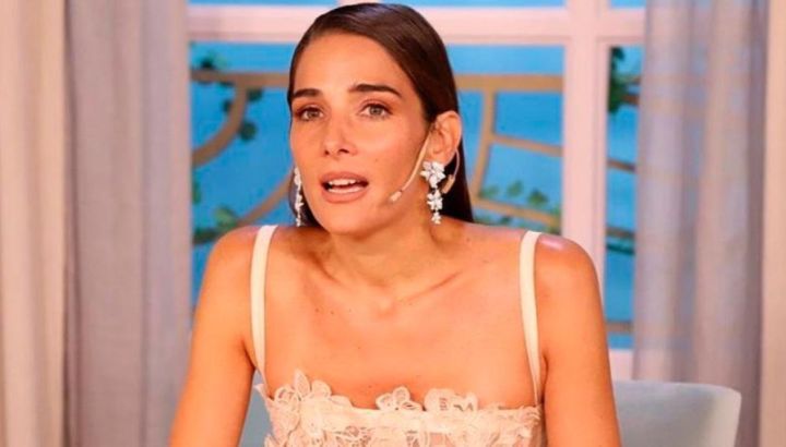 Seda, multicolor y elegancia, el look de Juana Viale que enamoró en La Mesaza