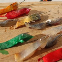 En estas jornadas que aún hace calor, es clave el cuidado de la mojarra. Doble balde si es posible, para poder cambiar el agua cada cierta cantidad de horas, y el uso de aireadores.