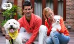 Novak Djokovic y sus poodles: conoce a los perros del tenista