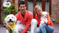 Novak Djokovic y sus poodles: conoce a los perros del tenista