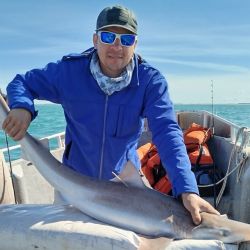 A la pesca de cazones se sumaron los meros, besugos colorados, bagres grandes, pez palo y alguna pescadilla. El salmón brilló por su ausencia, pero con la presencia de los escualos, nadie se acordó de ellos. 
