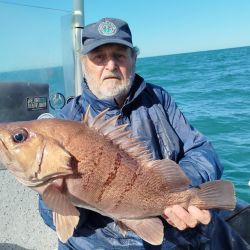 A la pesca de cazones se sumaron los meros, besugos colorados, bagres grandes, pez palo y alguna pescadilla. El salmón brilló por su ausencia, pero con la presencia de los escualos, nadie se acordó de ellos. 