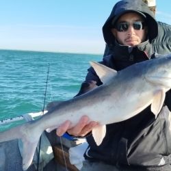 A la pesca de cazones se sumaron los meros, besugos colorados, bagres grandes, pez palo y alguna pescadilla. El salmón brilló por su ausencia, pero con la presencia de los escualos, nadie se acordó de ellos. 