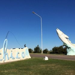 En los sectores más profundos de la laguna se llevan las palmas los aparejos del tipo paternóster. 