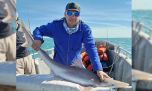 A falta de salmones, buenos son los cazones