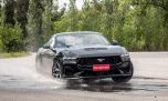 Qué dice el color de tu auto sobre vos: el caso Ford y su evolución
