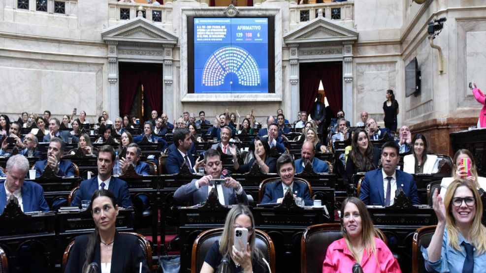 La Cámara de Diputados 20250319