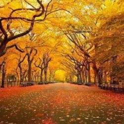 El equinoccio de marzo marca el inicio de una nueva estación en el planeta. 