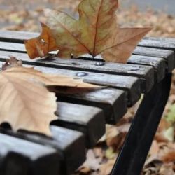  La fecha y hora exactas del comienzo del otoño varían, debido a la forma de la órbita terrestre,