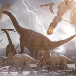La Tierra experimentará una nueva extinción masiva, incluidos los animales.
