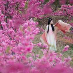 Imagen de una mujer en ropa tradicional china posando para fotografías entre flores, en el distrito de Malong de Qujing, en la provincia de Yunnan, en el suroeste de China. | Foto:Xinhua/Yang Junpeng