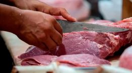 Exportaciones de carne: cae el volumen, pero los precios internacionales marcan un récord
