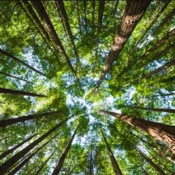 Cada 21 de marzo se celebra esta fecha.