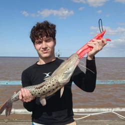 Mientras luego de las lluvias, las aguas se empiezan a acomodar en ríos, canales, arroyos y lagunas, en la playa poco a poco entra en recambio de especies. 