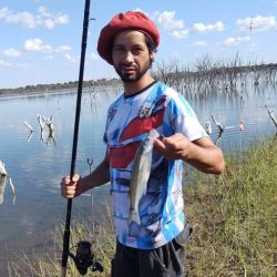 Mientras luego de las lluvias, las aguas se empiezan a acomodar en ríos, canales, arroyos y lagunas, en la playa poco a poco entra en recambio de especies. 