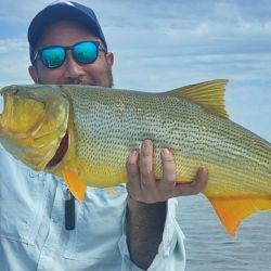 Mientras luego de las lluvias, las aguas se empiezan a acomodar en ríos, canales, arroyos y lagunas, en la playa poco a poco entra en recambio de especies. 