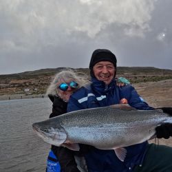 Mientras luego de las lluvias, las aguas se empiezan a acomodar en ríos, canales, arroyos y lagunas, en la playa poco a poco entra en recambio de especies. 