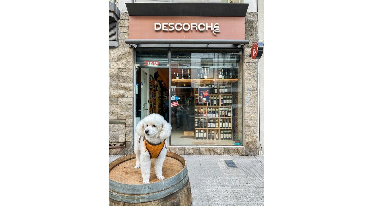 Descorche: Un refugio para los amantes del vino