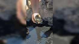 Encontraron petróleo en una escuela de Neuquén