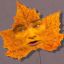 Forever Autumn?