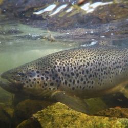 Al tradicional feriado del jueves 1 de mayo se suma el puente del día siguiente, lo que permitirá 4 días no laborables para muchos en el país. 