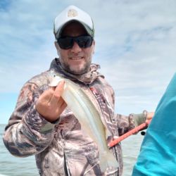 Se pesca viernes, sábado y domingo. A flote tanto anclado como gareteando, según el día, con peje medianito de 25 a 30 cm y alguna excepción de mejor talla. Se da con bajadas de 20 a 30 cm.