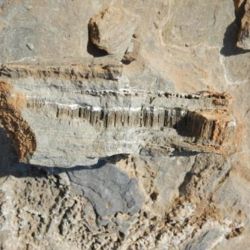 Los túneles fueron encontrados de manera fortuita.