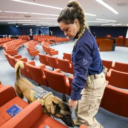 Un policía del Senado usando un perro rastreador para inspeccionar el edificio antes de una sesión que decidirá si el expresidente Jair Bolsonaro será juzgado en Brasilia. Foto de AFP | Foto:AFP