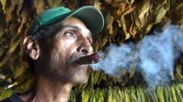 Hombre cubano