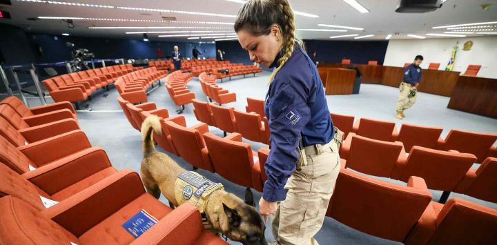 Un policía del Senado usando un perro rastreador para inspeccionar el edificio antes de una sesión que decidirá si el expresidente Jair Bolsonaro será juzgado en Brasilia. Foto de AFP