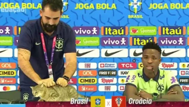 Brasil y la "Maldición del Gato"