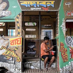 Un artista pinta un tranvía con la temática de Sundarbans, el mayor bosque de manglares de la India. Foto de Dibyangshu SARKAR / AFP | Foto:AFP