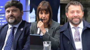 Ricardo Ferrer Picado Patricia Bullrich Ramiro Anzit Guerrero 20250327