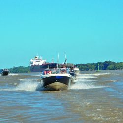 En abril estamos a full con la temporada de pejerrey y la de caza mayor y menor. También turismo ymucho màs.