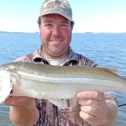 2803_mapa_pique_pesca