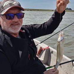 2803_mapa_pique_pesca