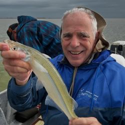 2803_mapa_pique_pesca