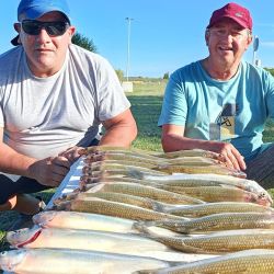 2803_mapa_pique_pesca