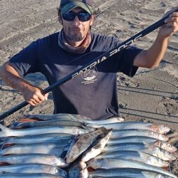 2803_mapa_pique_pesca