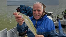 2803_mapa_pique_pesca