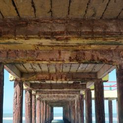 El muelle ubicado a la altura del Paseo 129 se encuentra en pleno funcionamiento y sufrirá algunas refacciones que no impedirán, según adelantaron, el acceso al mismo. 