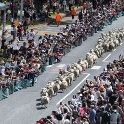 Personas se reúnen para observar la "Carrera de Ovejas" en el Gran Muster de Nueva Zelanda, en Te Kuiti, Nueva Zelanda. | Foto:Xinhua/Long Lei
