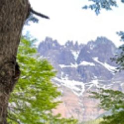 El objetivo es promover la conservación del valle del Río de las Vueltas y sus tributarios, en las vecindades de El Chaltén,